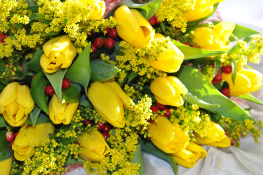 823894 (a): :2500x1660